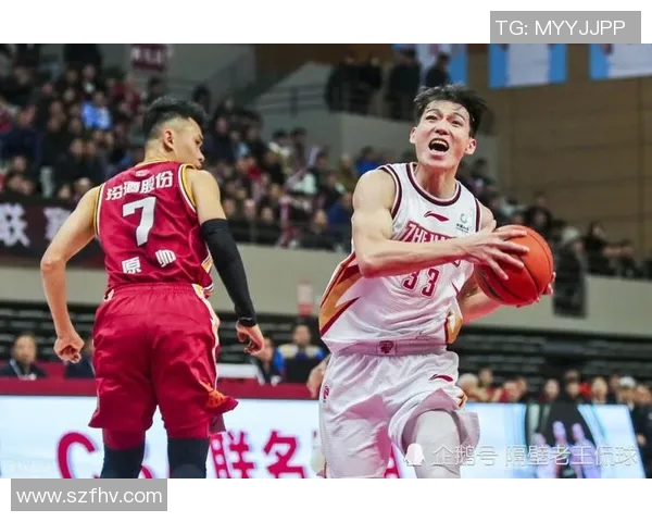 坎斯大班与波斯夜猫的精彩对决引发球迷热议与期待